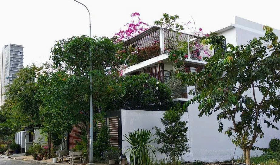 IMG 20250817 171124