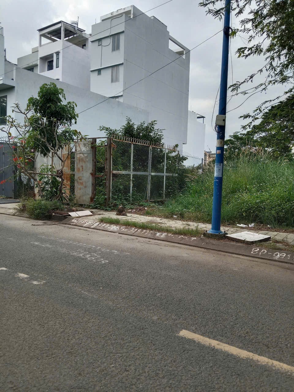 IMG 1764239460682 1764239466454